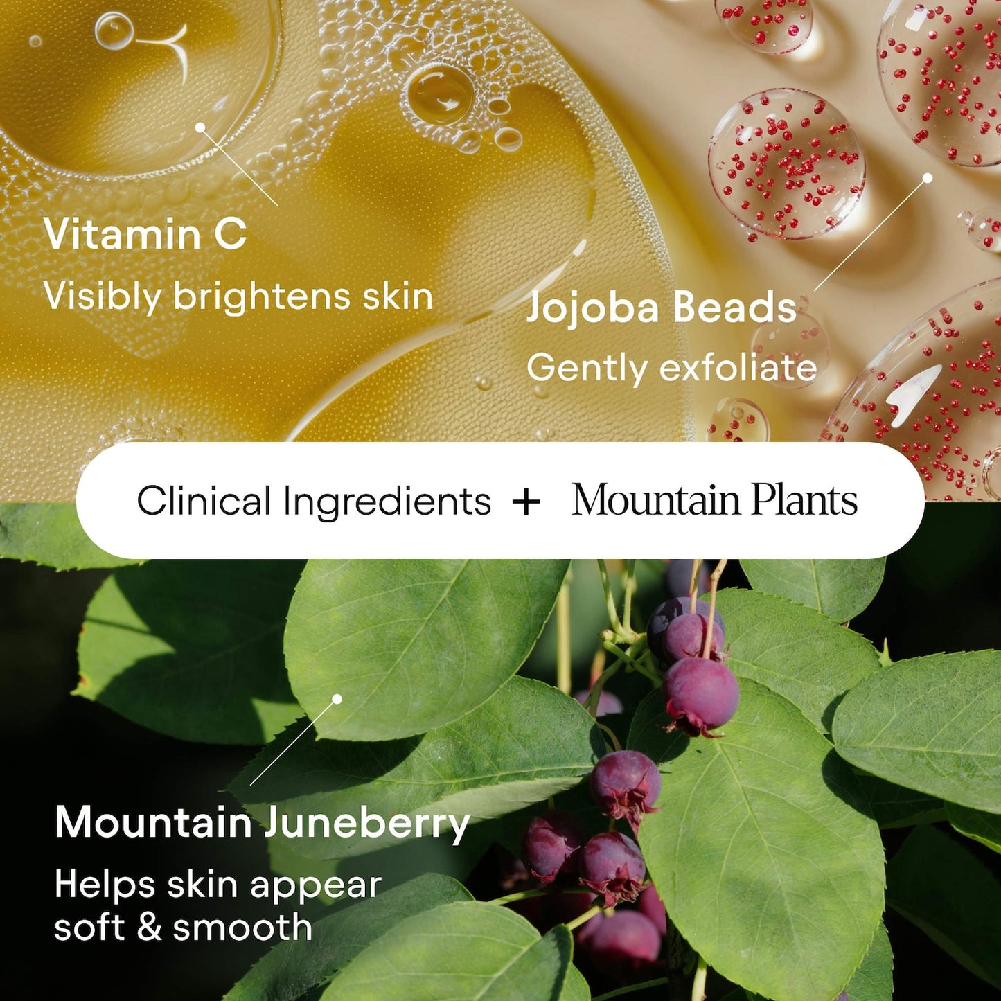 ALPYN Vitamin C ilə Nemləndirici və Işıltı Verən Soyuq Krem Təmizləyici