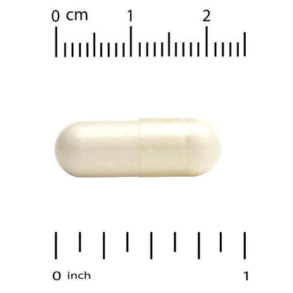 California Gold Nutrition Lactobif 100 Probiotiklər 100 Milyard CFU 30 Bitki Kapsulu YoxYox