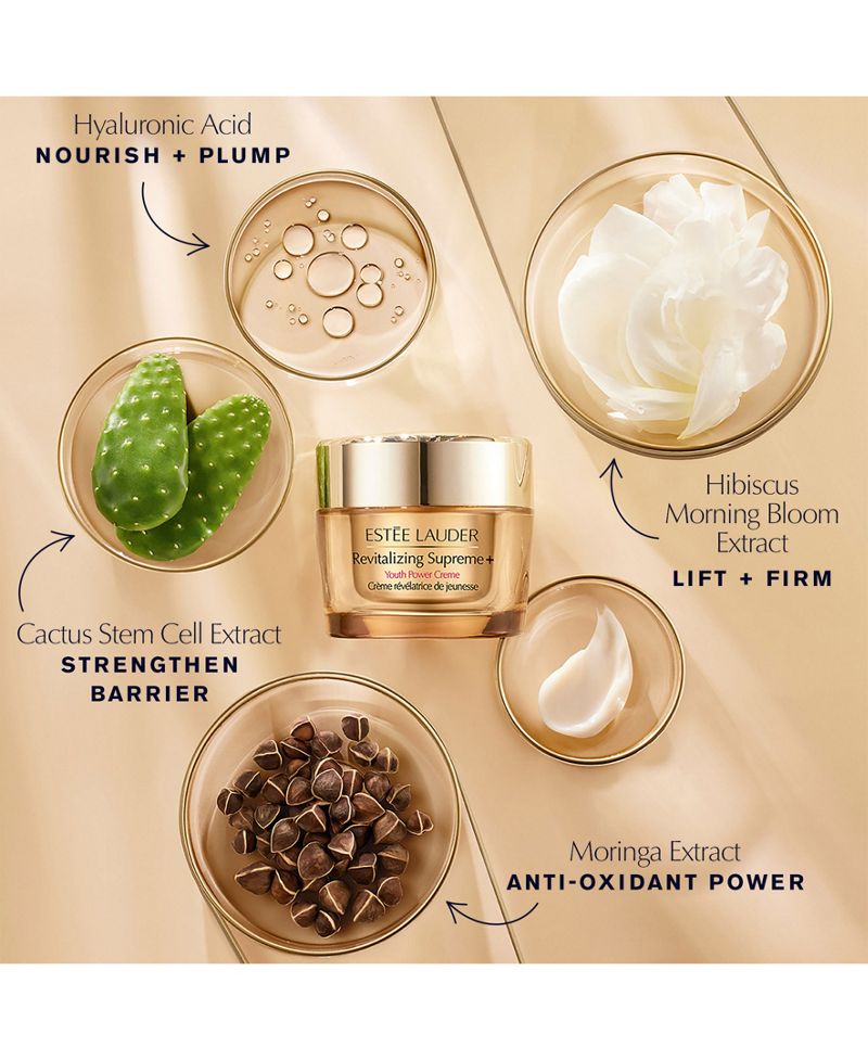 Estée Lauder 5-Parçalı Canlılaştırıcı Dərin Qulluq Dərisi Baxışı Hədiyyə Dəsti