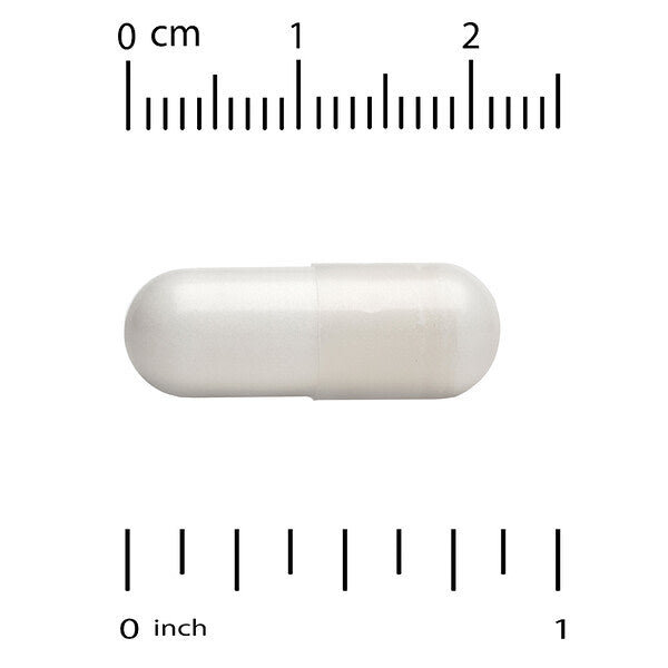 Life Extension Glutathione Cysteine C 100 Kapsul