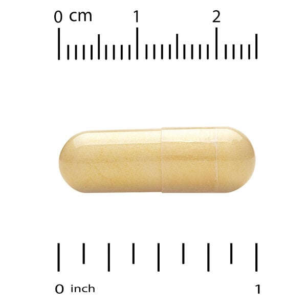 Life Extension Günde İki Dəfə Multivitamin 120 Kapsul YoxYox