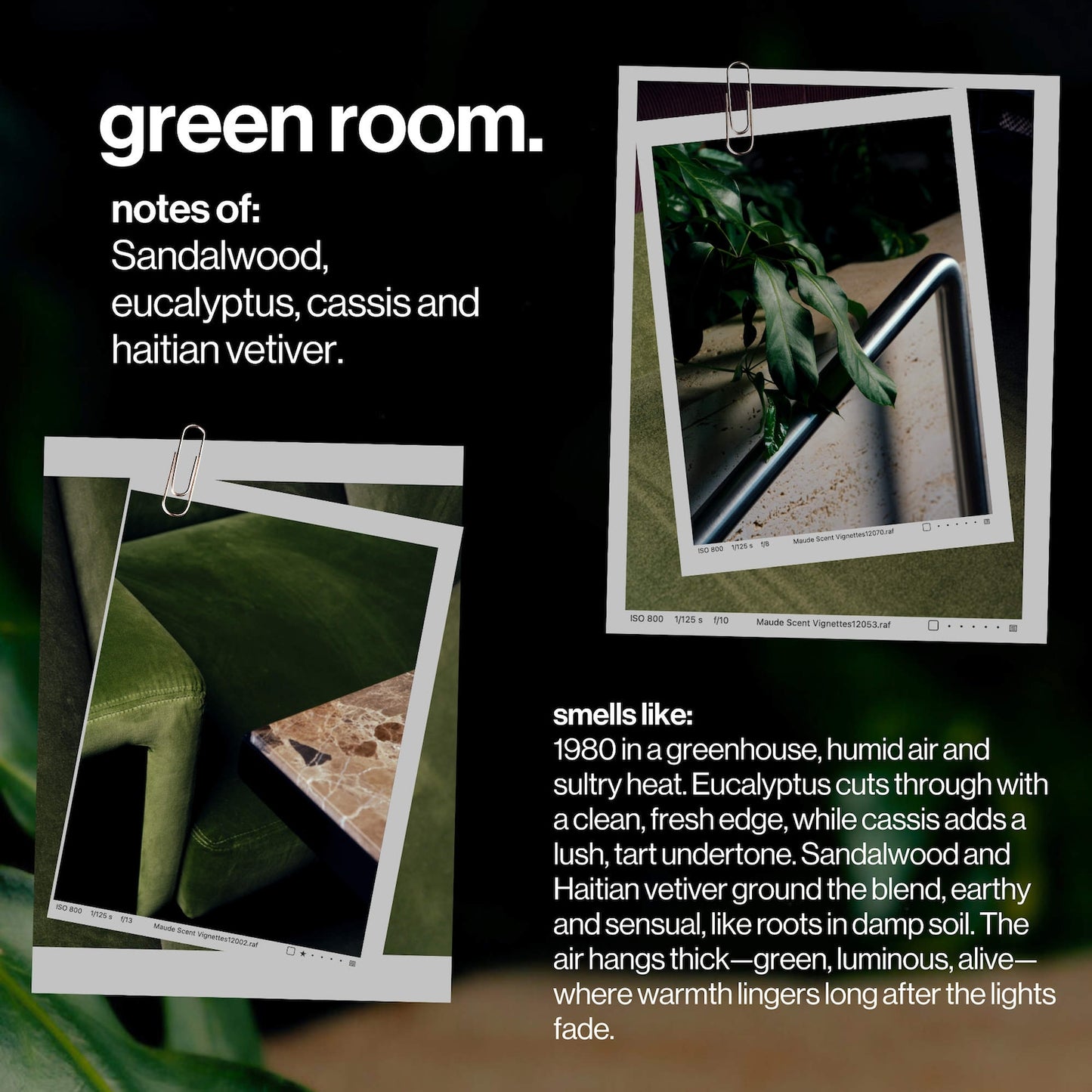 maude Green Room Wash – pH Balanslaşdırılmış Bədən Yuma Vasitəsi