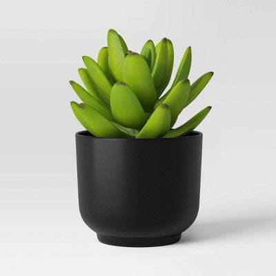 Sulu Bitki Süni Qara Qabda - Room Essentials™ YoxYox