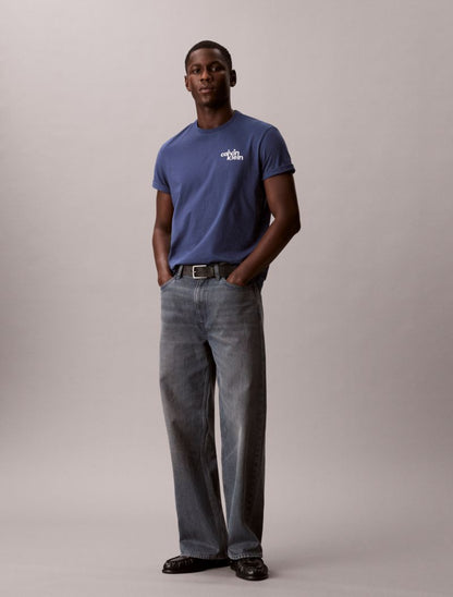Calvin Klein Embroidered Logo Graphic Klassik T-Shirt
