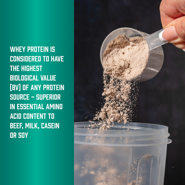 Now Foods Sports Whey Protein Concentrate Protein Tozu Tat Əlavə Olmadan 680 G