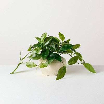 Hearth & Hand with Magnolia 8.5 Kiçik Sarkan Hoya Yaprağı Saksıda Süni Bitki - Hearth & Hand™ with Magnolia YoxYox