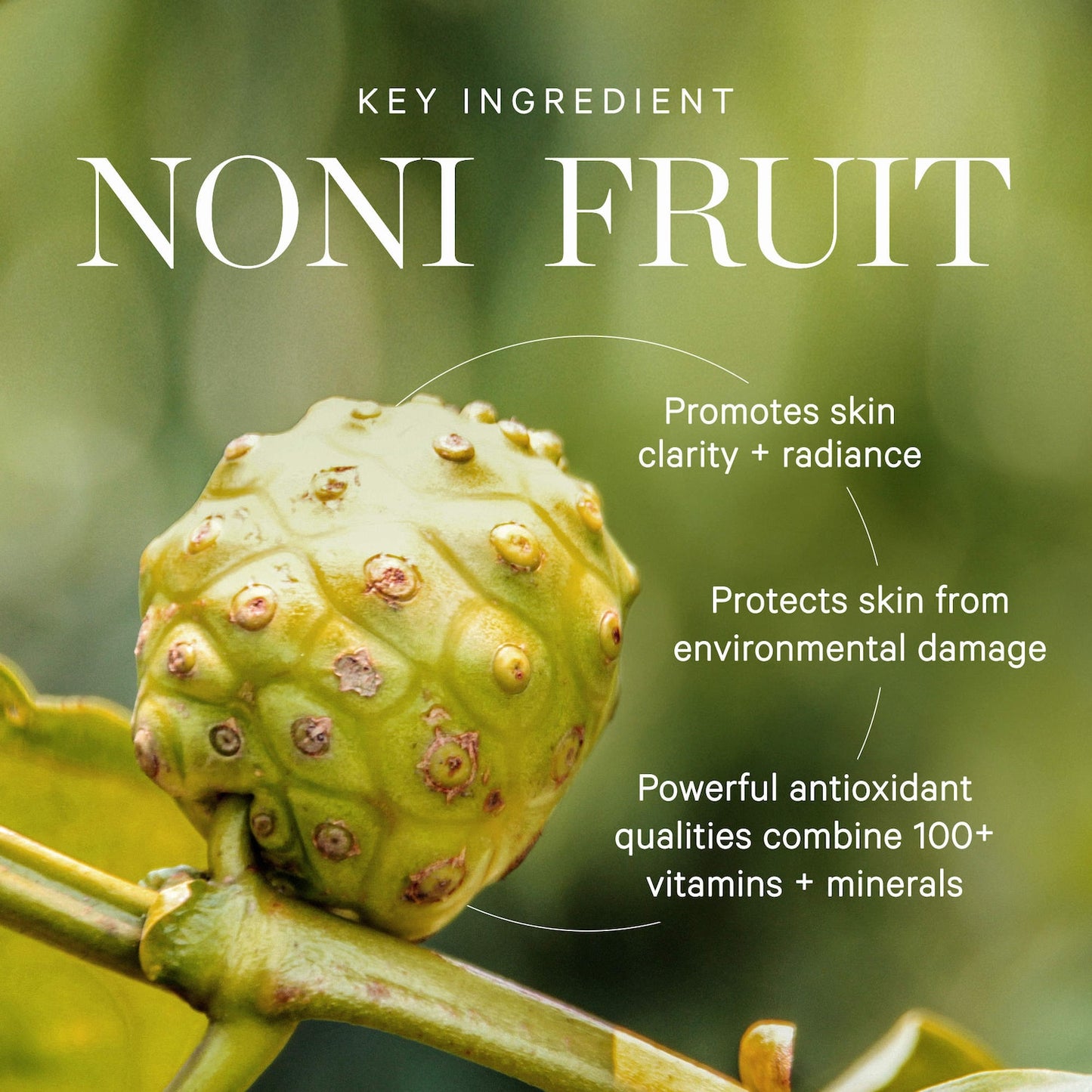 KORA Organics Mini Noni Glow Radiant Üz Yağı Antioksidantlarla