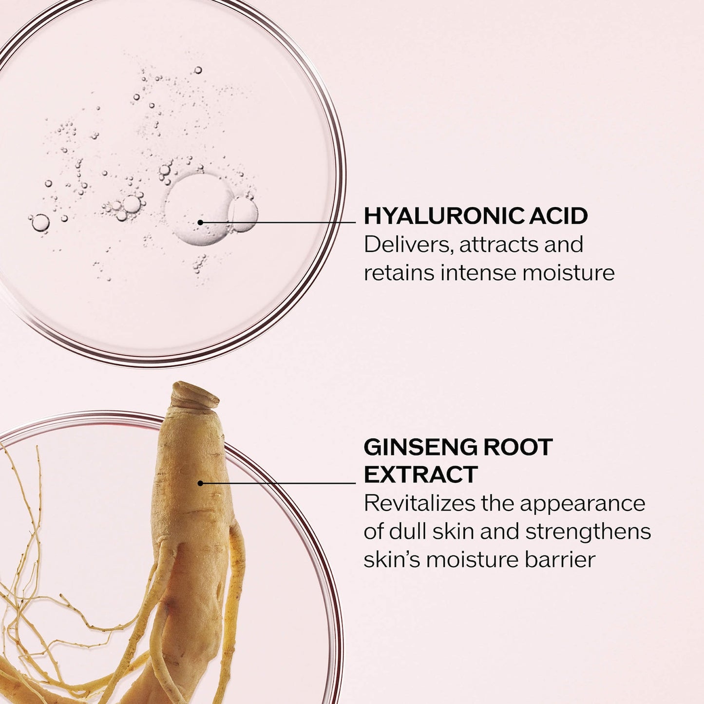 Shiseido Essential Energy Nəmləndirici Krem