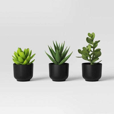 Sulu Bitki Süni Qara Qabda - Room Essentials™ YoxYox