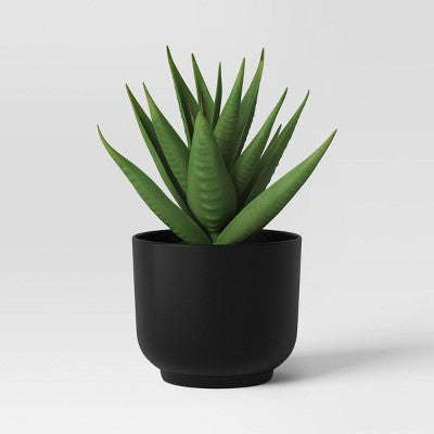 Sulu Bitki Süni Qara Qabda - Room Essentials™ YoxYox