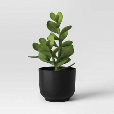 Sulu Bitki Süni Qara Qabda - Room Essentials™ YoxYox