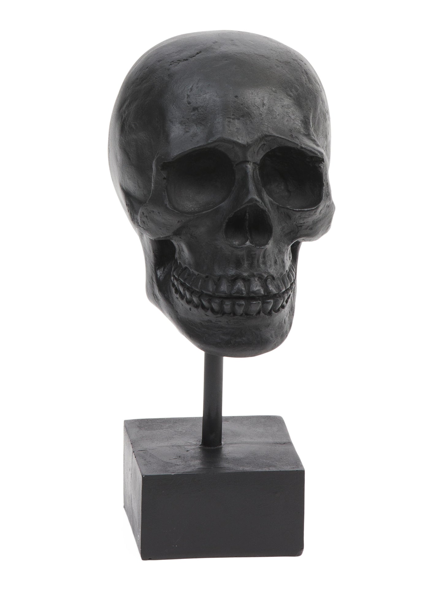 SPOOKY NIGHT 11in Qələm Üzərində Resin Kəllə