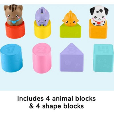 Fisher-Price Busy Blocks Pet Daşıyıcısı