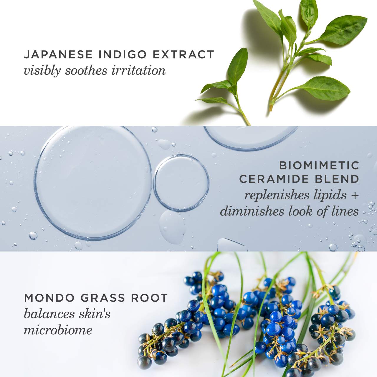 Tatcha Indigo Gecə Onarma Qızartı Azaldan Baryera Kremi Nəmləndirici