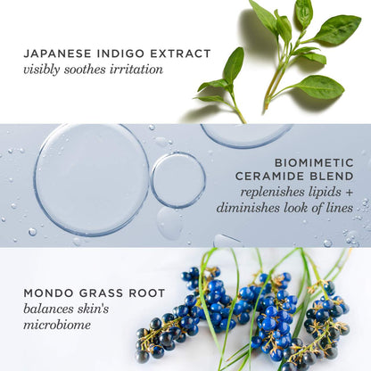 Tatcha Indigo Gecə Onarma Qızartı Azaldan Baryera Kremi Nəmləndirici