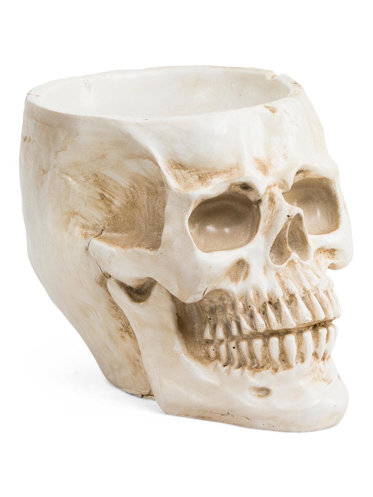 SPOOKY NIGHT Skull Flowerpot