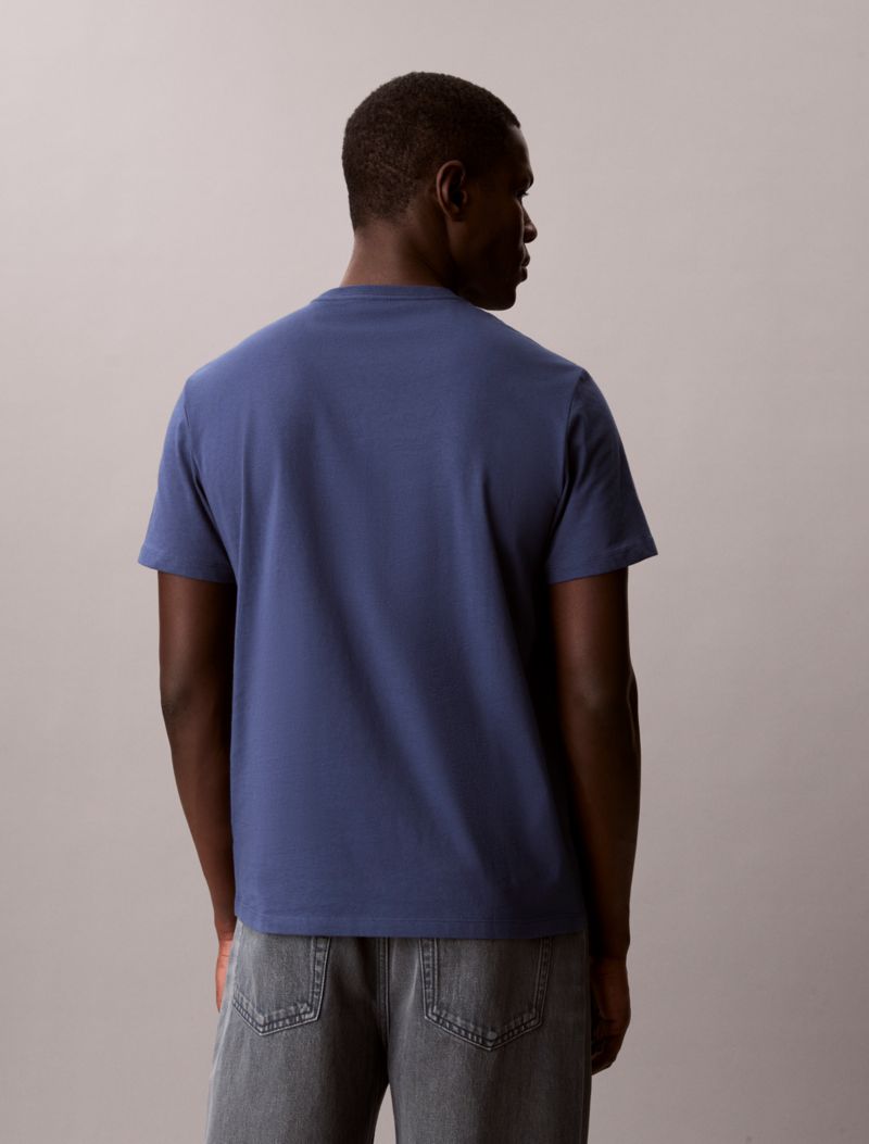 Calvin Klein Embroidered Logo Graphic Klassik T-Shirt