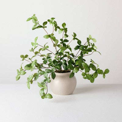 Hearth & Hand with Magnolia Böyük Yaşıl Gypsophila Süni Bitki - Hearth & Hand™ with Magnolia YoxYox