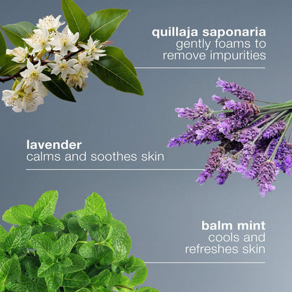Dermalogica Mini Xüsusi Təmizləyici Gel
