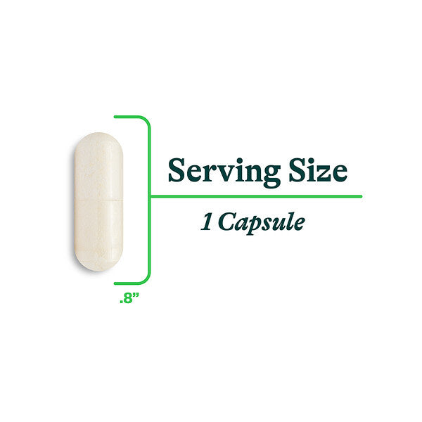 Seeking Health Probiota Bifidobacterium 12 Milyard CFU 60 Kapsul
