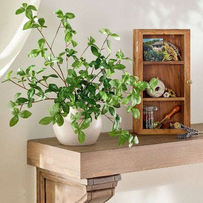 Hearth & Hand with Magnolia Böyük Yaşıl Gypsophila Süni Bitki - Hearth & Hand™ with Magnolia YoxYox