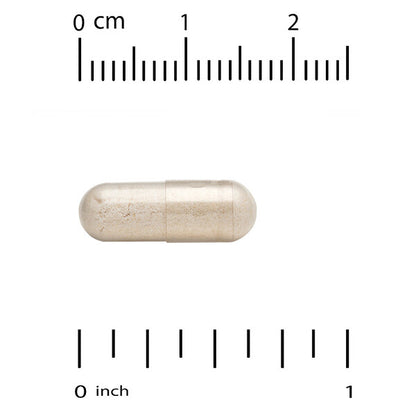 California Gold Nutrition Akkermansia 30 Milyar 30 Vejetaryan Kapsulu 150 Mg