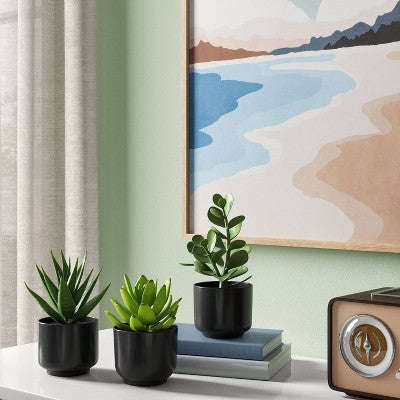 Sulu Bitki Süni Qara Qabda - Room Essentials™ YoxYox