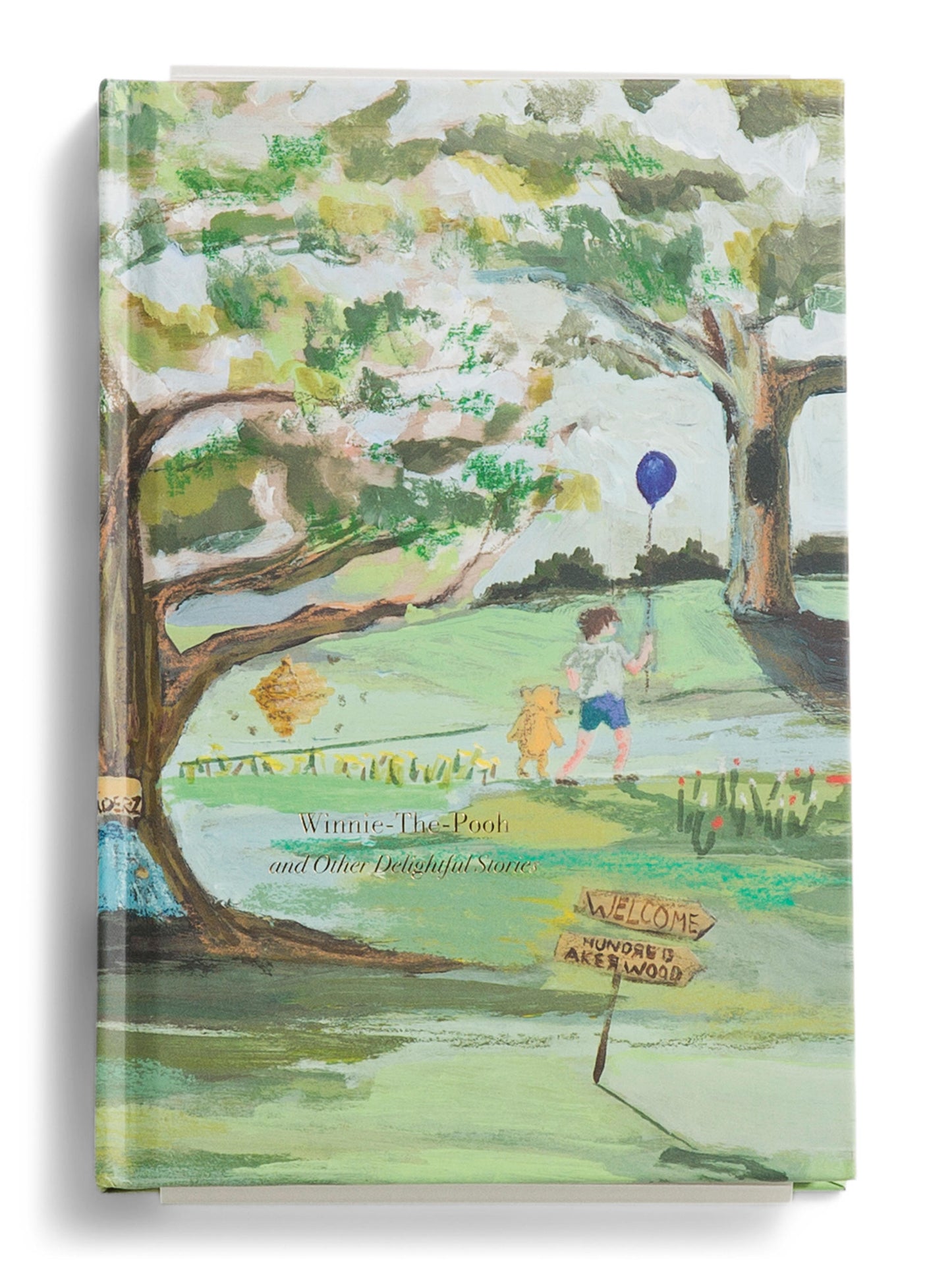 HARPERCOLLINS FOCUS Winnie The Pooh Painted Deluxe Kitabı