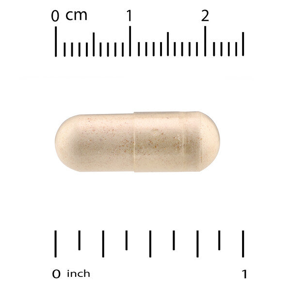Thorne Basic B Complex 60 Kapsul