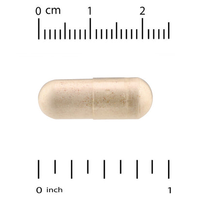 Thorne Basic B Complex 60 Kapsul
