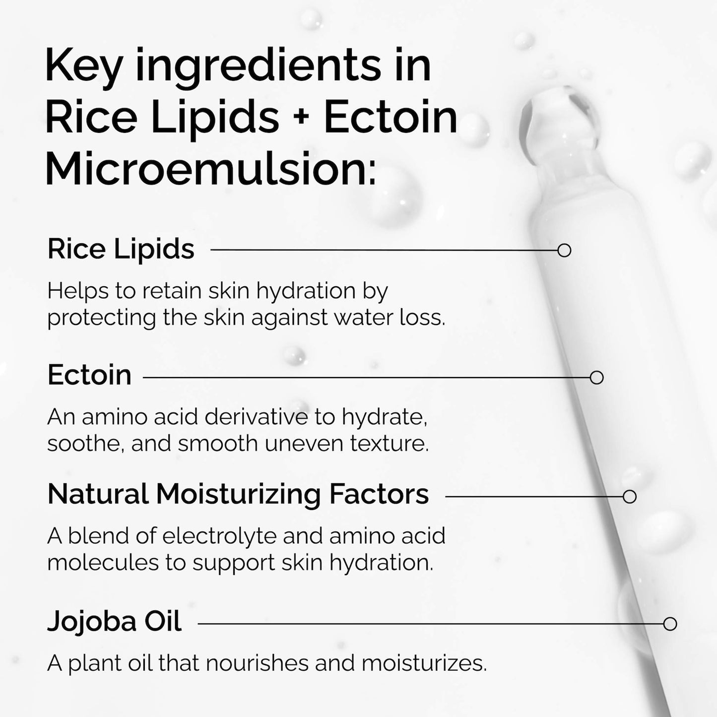 The Ordinary Düyü Lipidləri + Ektoin Mikroemulsiyonu Yatışdırıcı Nəmləndirici Krem