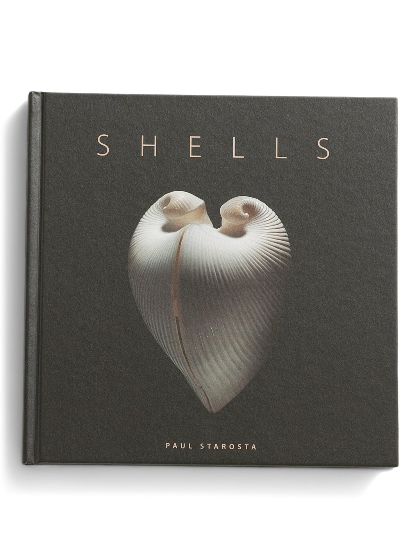 ACCART BOOKS Shells Book