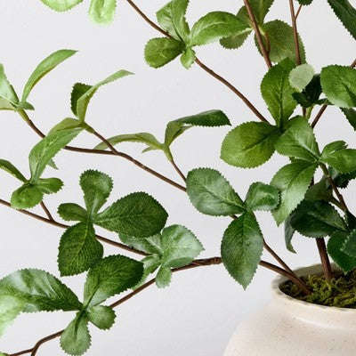 Hearth & Hand with Magnolia Böyük Yaşıl Gypsophila Süni Bitki - Hearth & Hand™ with Magnolia YoxYox