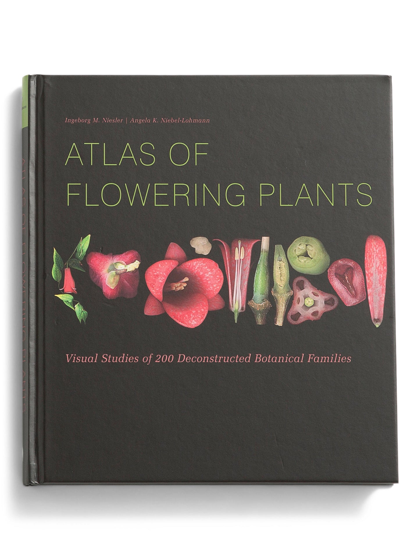 SCHIFFER PUBLISHING Atlas Of Flowering Plants Book