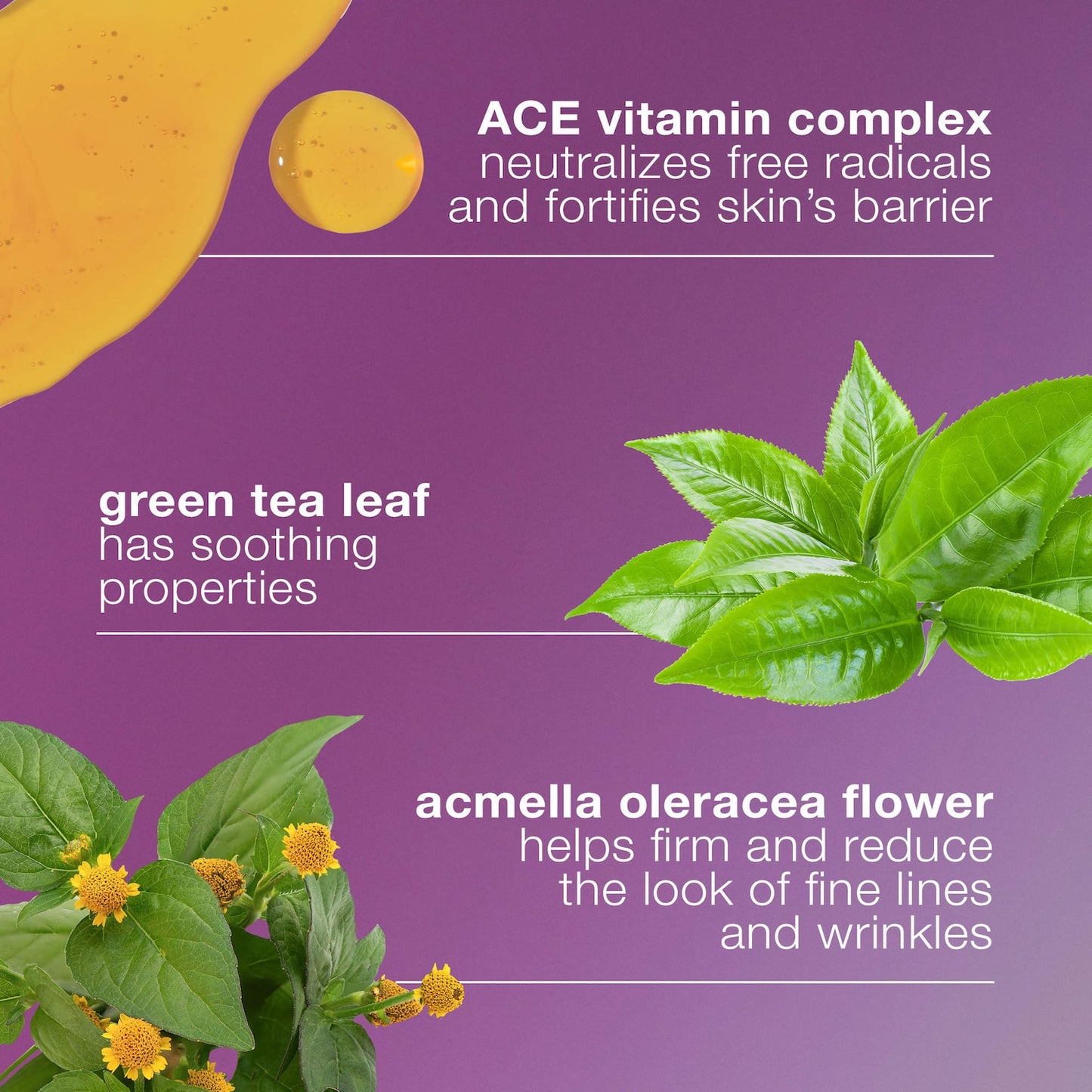 Dermalogica MultiVitamin Power Firmləşdirici Göz Kremi