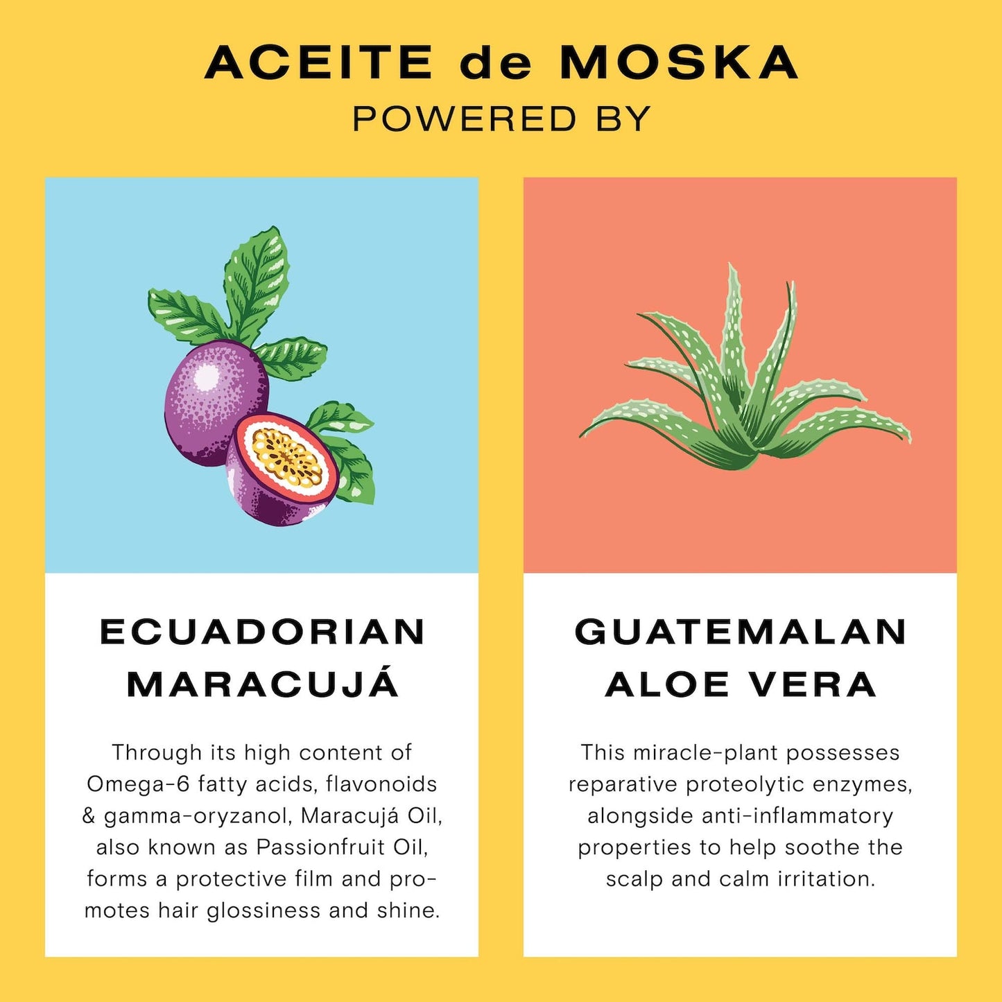 Ceremonia Aceite de Moska Şampondan Əvvəl Saç Və Dəri Yağı