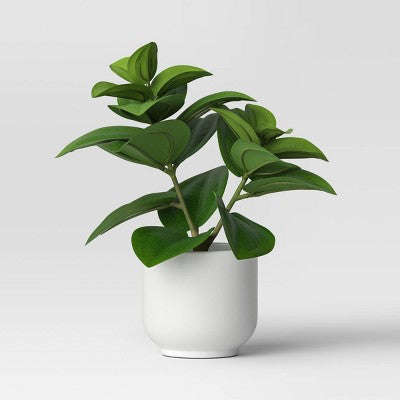 Süni Yarpaq Bitki - Threshold™: Peperomia Caperata Melamin Qabda, Daxili Saxta Flora Dekorasyonu YoxYox