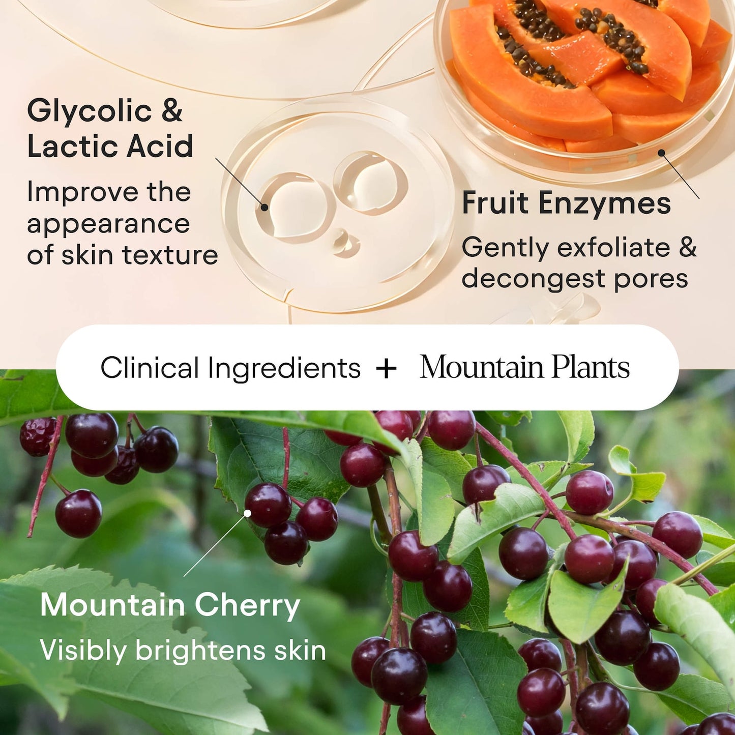 ALPYN Glikolik Asidli Təmizləyici Cleanser Pores və Qarabaşlar üçün