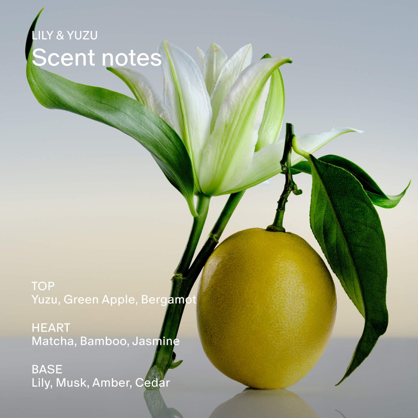 Salt & Stone Lily & Yuzu Tərkibində Alüminium Olmayan Ekstra Güclü Deodorant