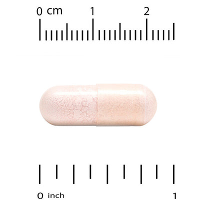 California Gold Nutrition Probiotiklər Lactobacillus Acidophilus Bifidobacterium Lactis Plantarum ilə