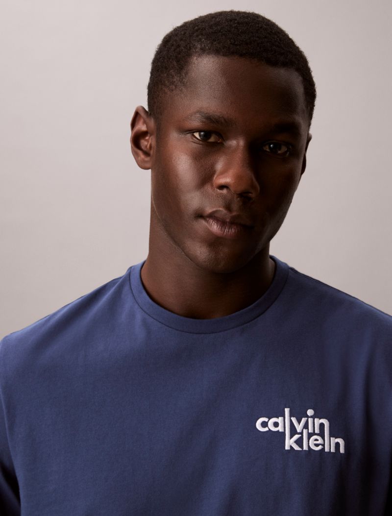 Calvin Klein Embroidered Logo Graphic Klassik T-Shirt