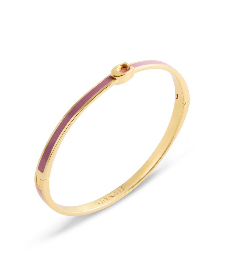 COACH Qızılı Tonlu Signature C Emali Bilərzik