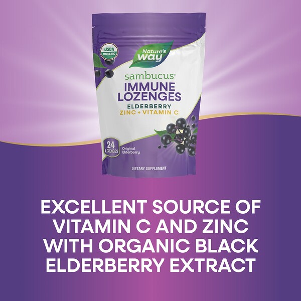 Nature's Way Sambucus Elderberry Immune Lozenges Orijinal Sirkədəlli 24 Pastil