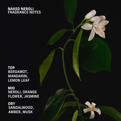CYKLAR Naked Neroli Roll-On Ətriyyat Yağı Sandal Ağacı və Yasminum ilə