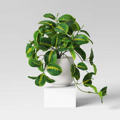 Sürünen Dua Yapay Bitki - Room Essentials™ YoxYox