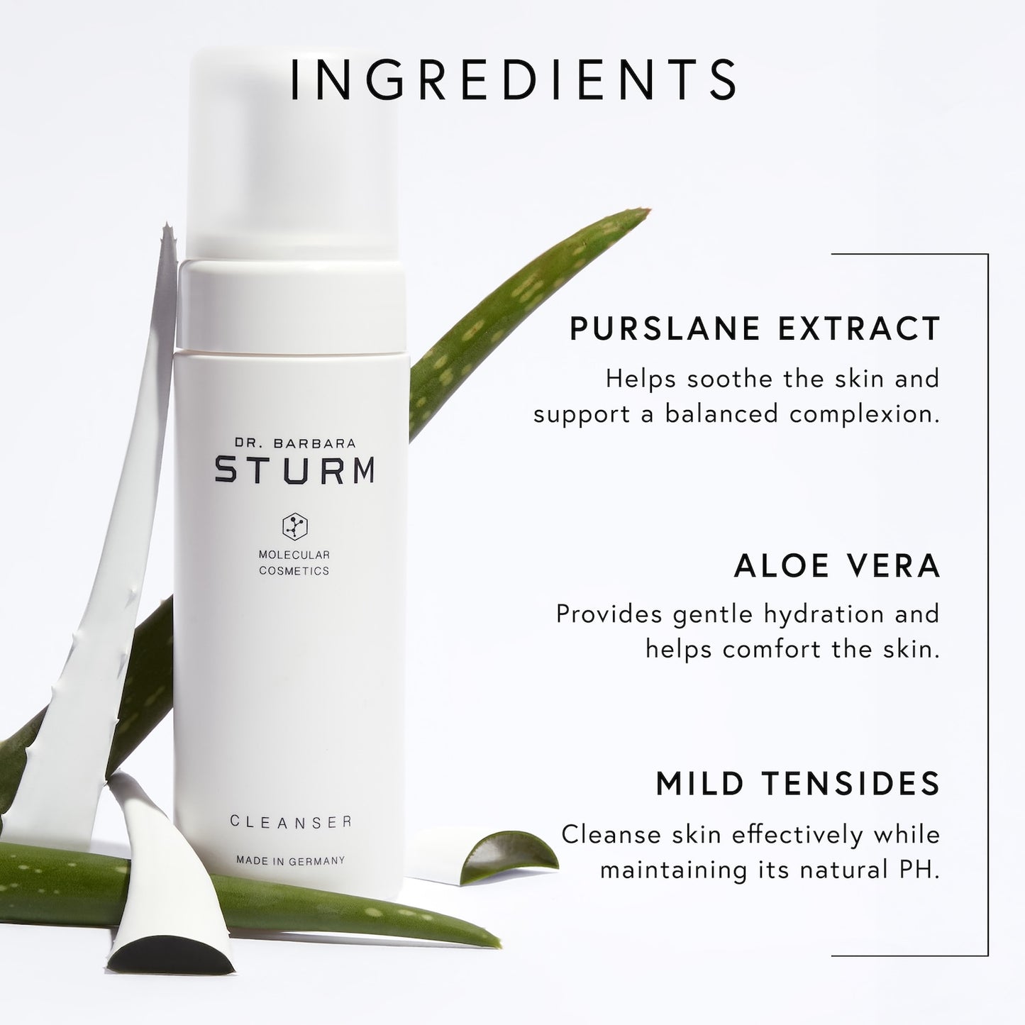 Dr. Barbara Sturm Üz Yuma Vasitəsi — Aloe Vera və Portulak İçən Təmizləyici Köpük