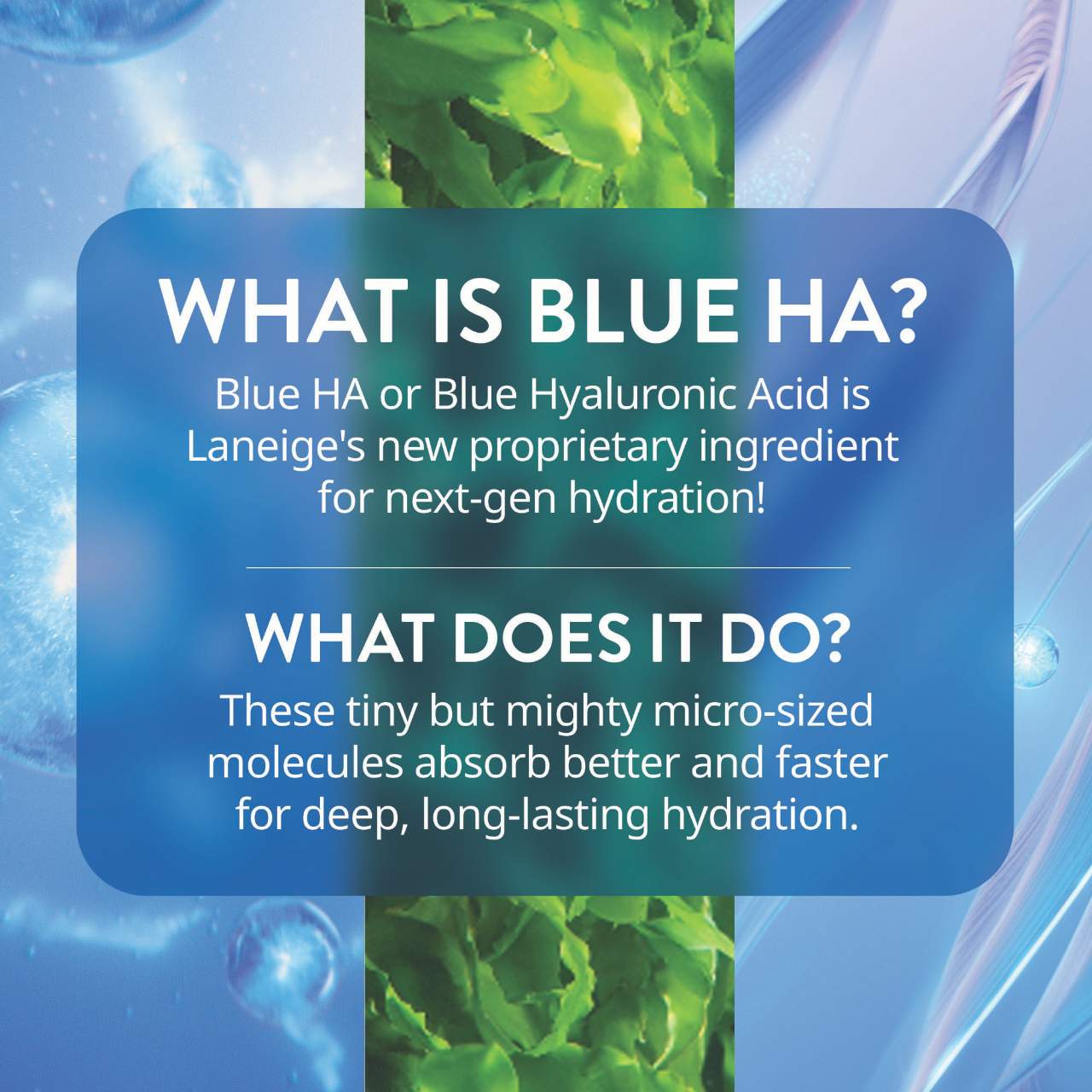 LANEIGE Water Bank Blue Hialuron Eksfoliyant Toneri