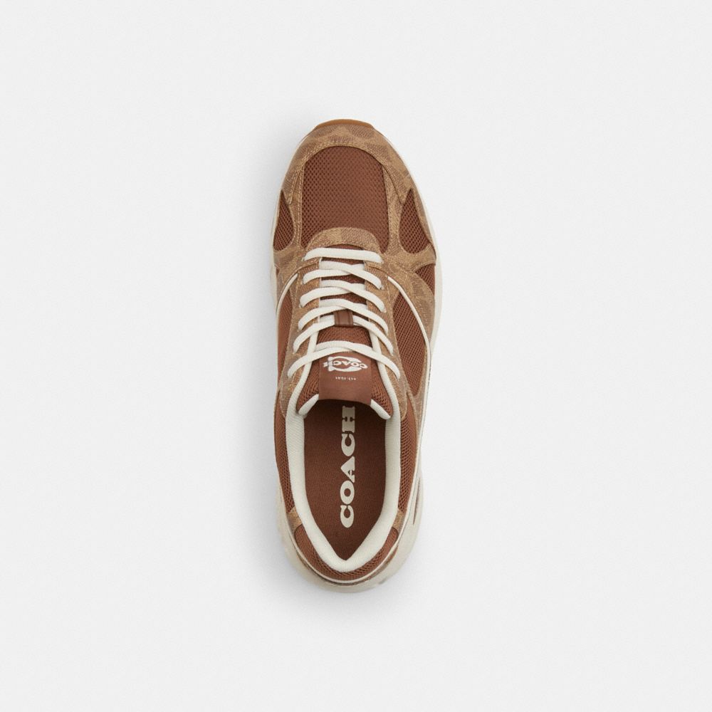 Coach Sport Krossovka Signature Canvas
