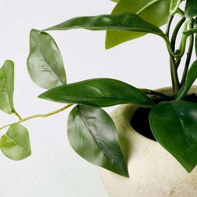 Hearth & Hand with Magnolia 8.5 Kiçik Sarkan Hoya Yaprağı Saksıda Süni Bitki - Hearth & Hand™ with Magnolia YoxYox